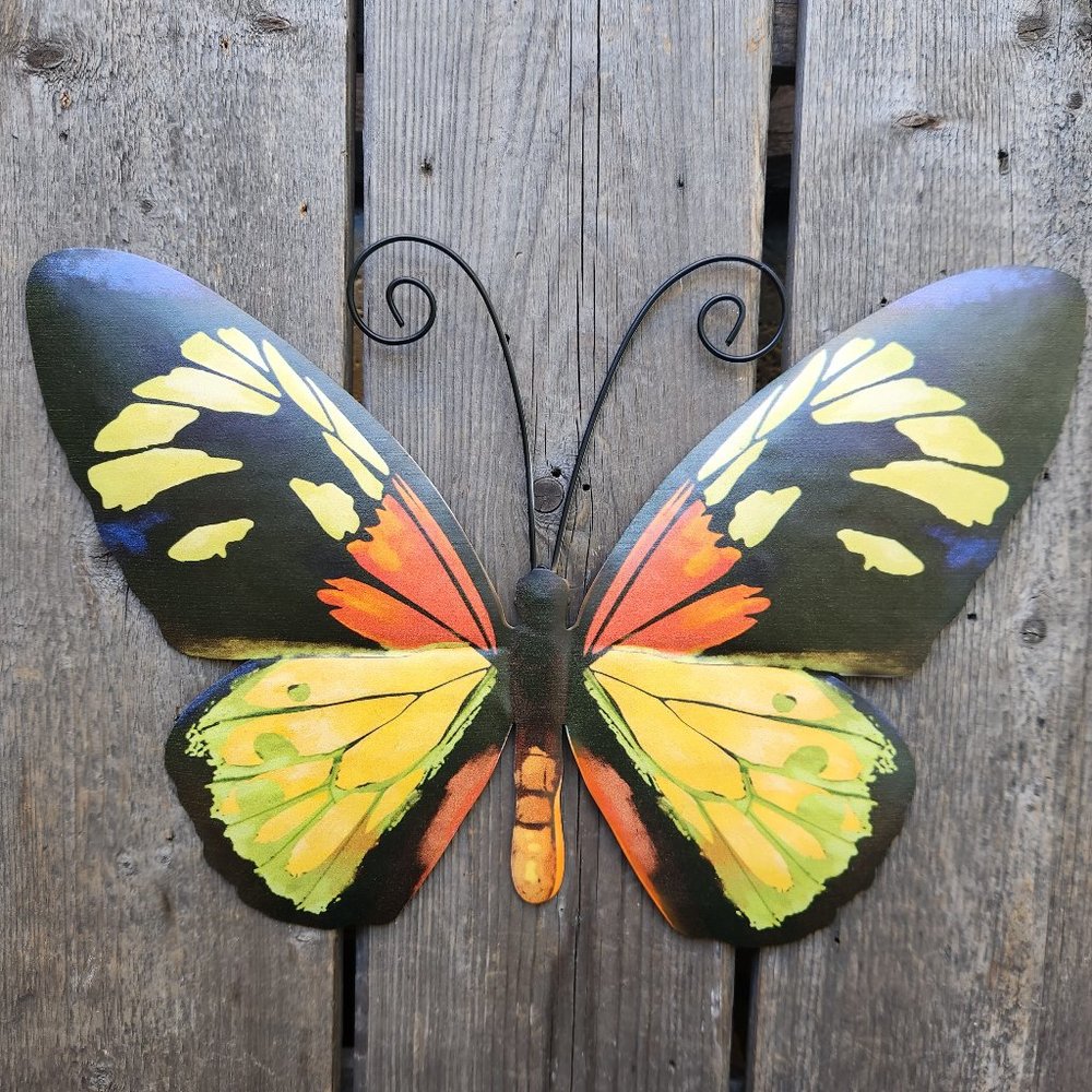 GREEN/ORANGE Swallowtail Butterfly, Dim: 14" L x 9.5" W